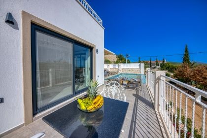 Viva Vista 3081